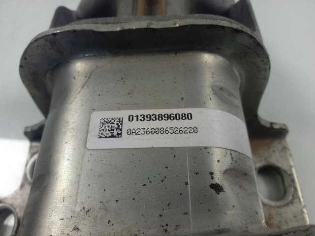 Coxim (suporte) direito de motor 1637130880 Peugeot/Citroen