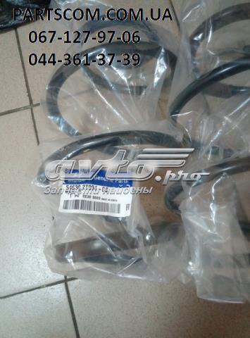 546302T094 Hyundai/Kia Mola dianteira
