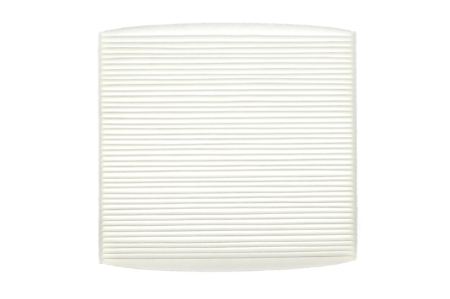 Compre WP10142 WIX Filtro de salão