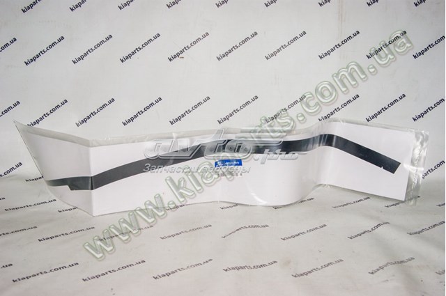 Lanterna de nevoeiro traseira direita 924062W300 Hyundai/Kia