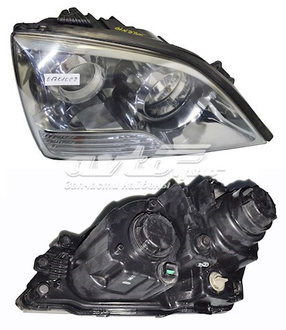 921023E5XX Hyundai/Kia Luz direita