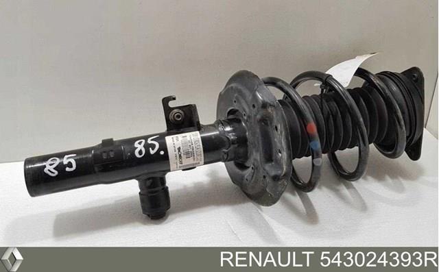 Amortecedor dianteiro 543024393R Renault (RVI)