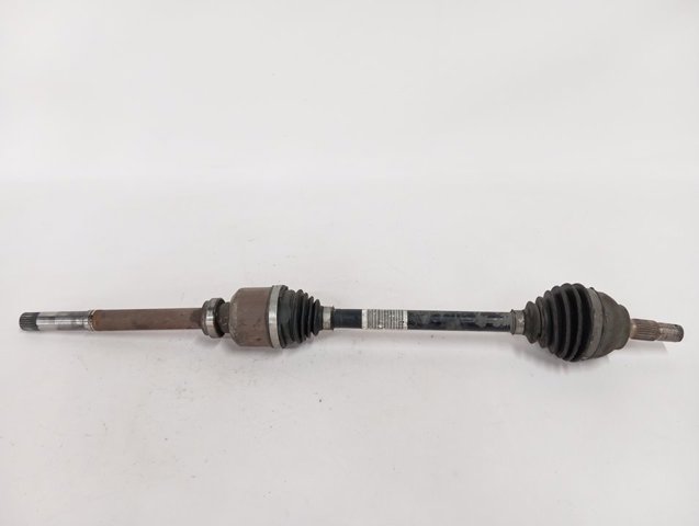 9813122880 Peugeot/Citroen 