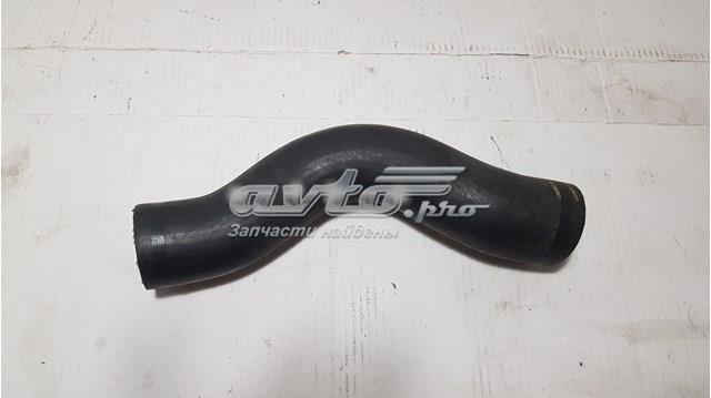 Mangueira (cano derivado) de intercooler 144631KC0A Nissan/Infiniti
