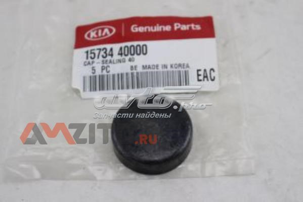 Tampão CBC/do bloco de cilindros Hyundai/Kia 1573440000 preço, a partir de 0,55 USD