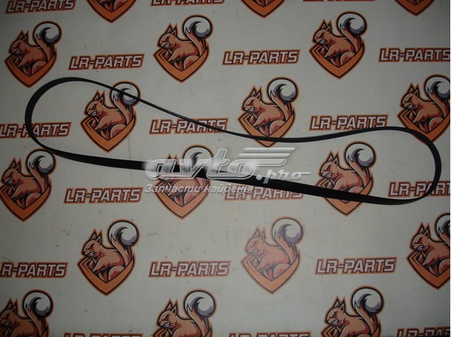 Correia dos conjuntos de transmissão, kit LR186378 Land Rover