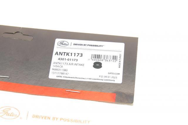 ANTK1173 Gates Vedante de turbina, inserto flexível