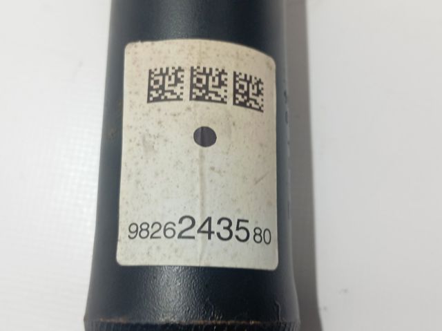 Amortecedor traseiro 9826243580 Peugeot/Citroen