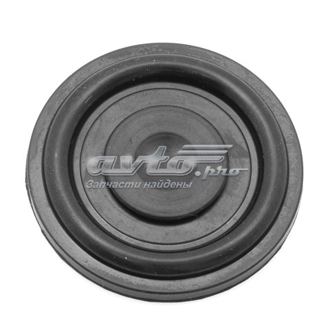 Compre KL0248S0 Klifex Membrana de separador de óleo