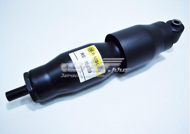 Amortecedor traseiro Raiso RS105820