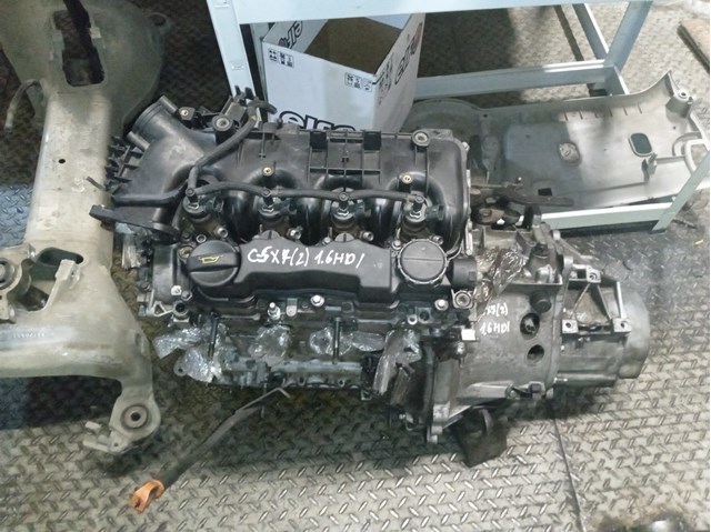 Compre 20DP50 Peugeot/Citroen 