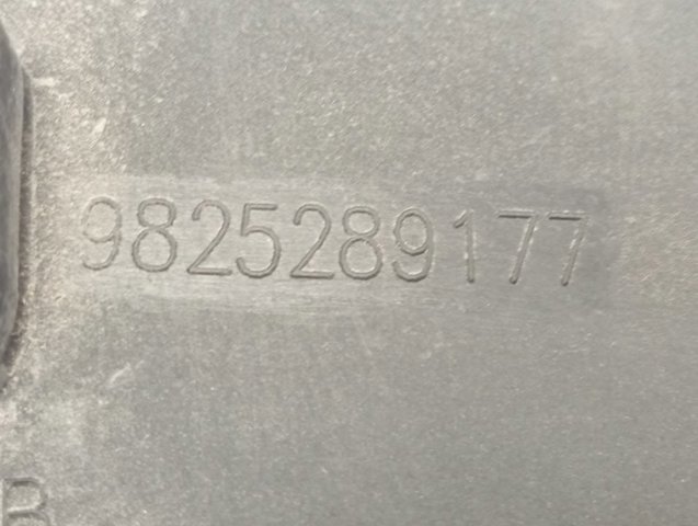 98365912XT Peugeot/Citroen Expansor esquerdo (placa sobreposta) de arco do pára-lama traseiro