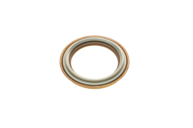 DS2405SKT DP Group Bucim de cubo traseiro