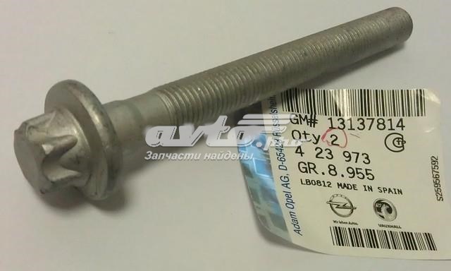 13137814 General Motors Parafuso de fixação de viga traseira (de plataforma veicular)