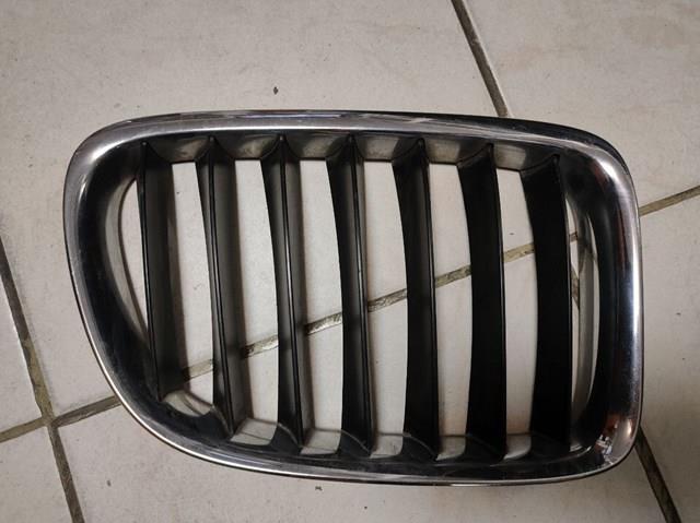 10627110 BMW Grelha do radiador