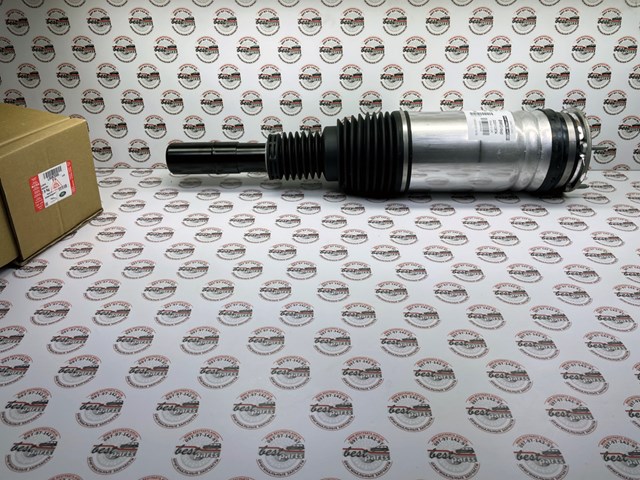 Amortecedor dianteiro esquerdo Arnott ASE3735 preço, a partir de 829,51 USD