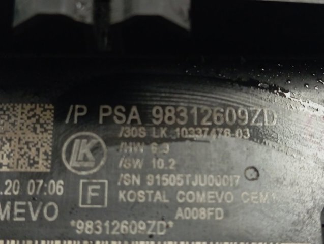Compre 98093198ZD Peugeot/Citroen 