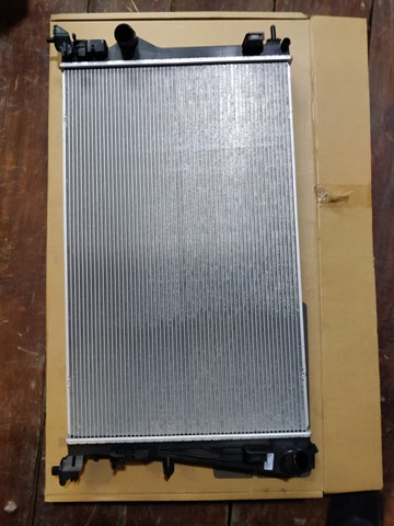 Radiador de esfriamento de motor 214102845R Renault (RVI)