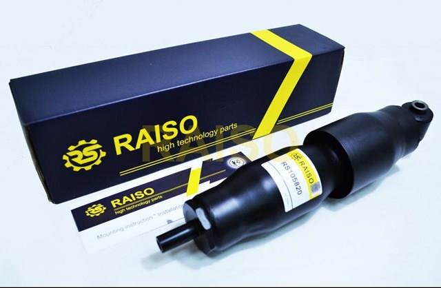 Amortecedor traseiro RS105820 Raiso