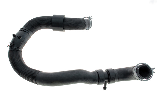 Mangueira (cano derivado) do radiador de esfriamento superior 215013745R Renault (RVI)