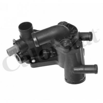 Caixa do termostato THK62742487J Vernet