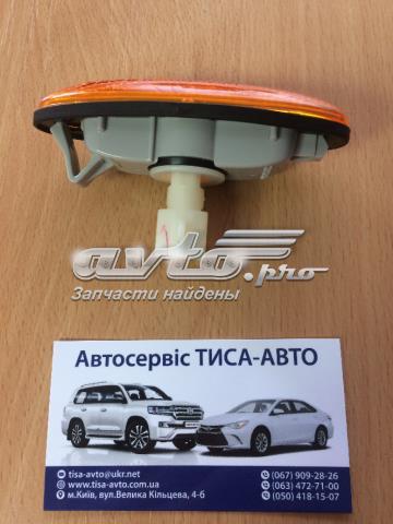 Luz intermitente no pára-lama 2161405NAE Depo/Loro/Abakus