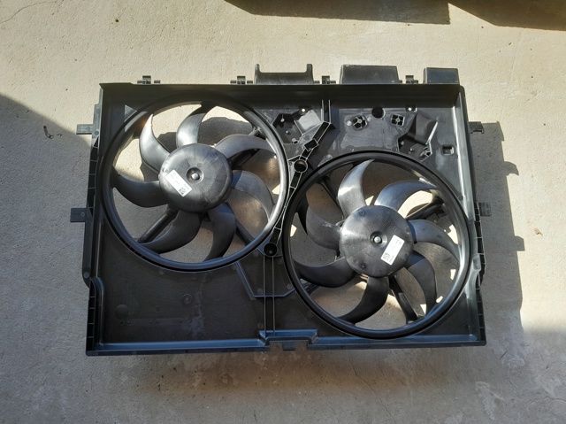 Compre 1671896380 Peugeot/Citroen Difusor do radiador de esfriamento, montado com motor e roda de aletas