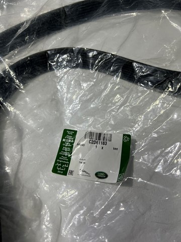  C2D49052 Jaguar