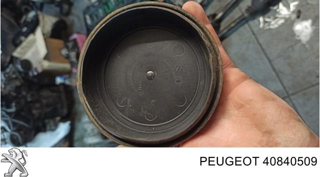 40840509 Peugeot/Citroen Luz direita
