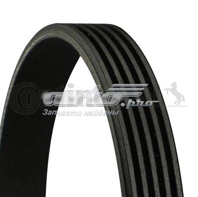 Correia dos conjuntos de transmissão Continental/Siemens 5PK1155 preço, a partir de 17,68 USD