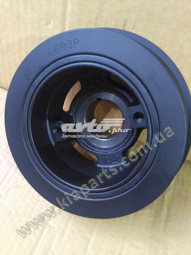 231244Z001 Hyundai/Kia Polia de cambota
