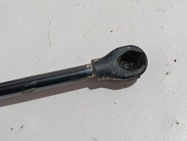 A1779800100 Mercedes Amortecedor da capota