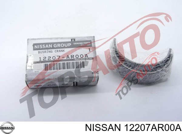 Compre 12207AR00A Nissan/Infiniti 