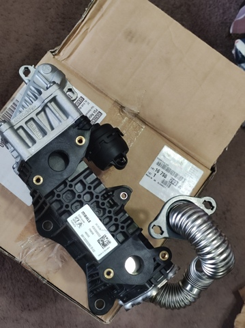 Radiador do sistema EGR de recirculação dos gases de escape 1679828380 Peugeot/Citroen