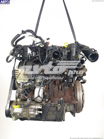 RHRDW10BTED4 Peugeot/Citroen Motor montado