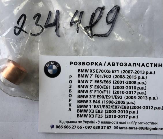 Bucha do gerador 234489 Cargo