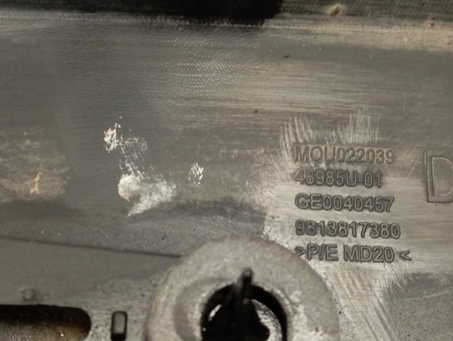 9813817380 Peugeot/Citroen 