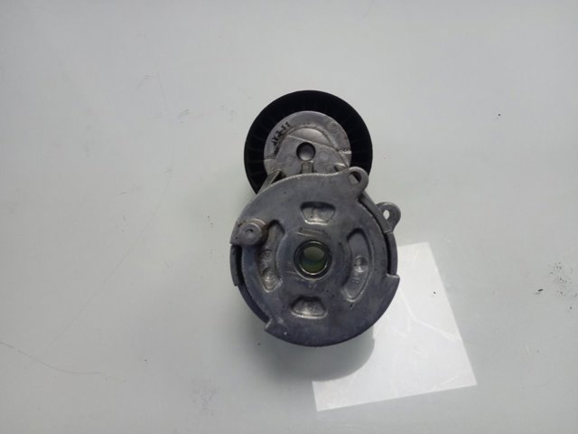 Reguladora de tensão da correia de transmissão 55244469 Fiat/Alfa/Lancia