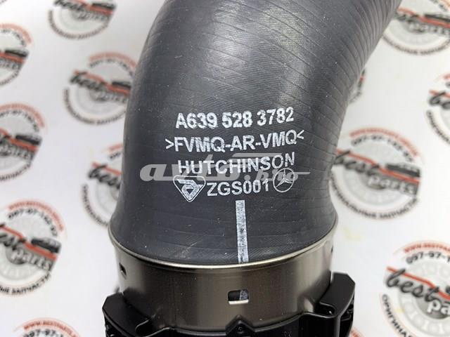 A639528378264 Mercedes Mangueira (cano derivado) de intercooler