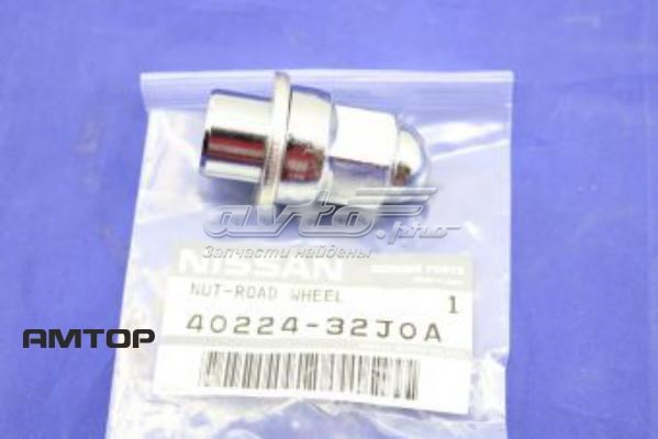  Nissan/Infiniti 4022432J0A