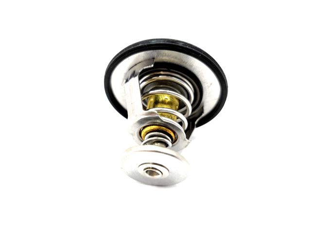 471Q1306950 BYD Termostato