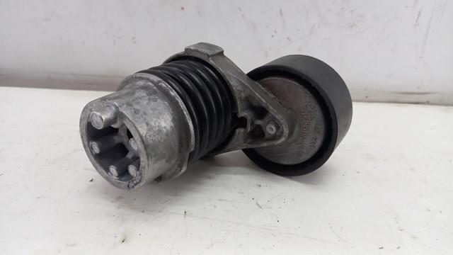 Compre 117506193R Renault (RVI) Reguladora de tensão da correia de transmissão
