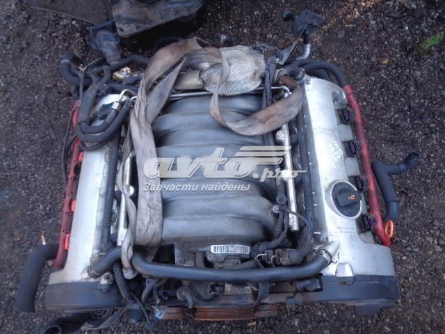 BFM VAG Motor montado