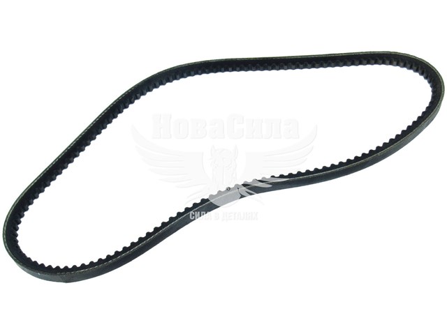 Compre 10A0813C Dayco Correia dos conjuntos de transmissão