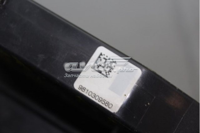 Fecho da porta dianteira esquerda Peugeot/Citroen 9810309580