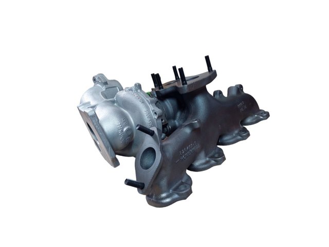Compre 8219430003 MSG Rebuilding Turbina