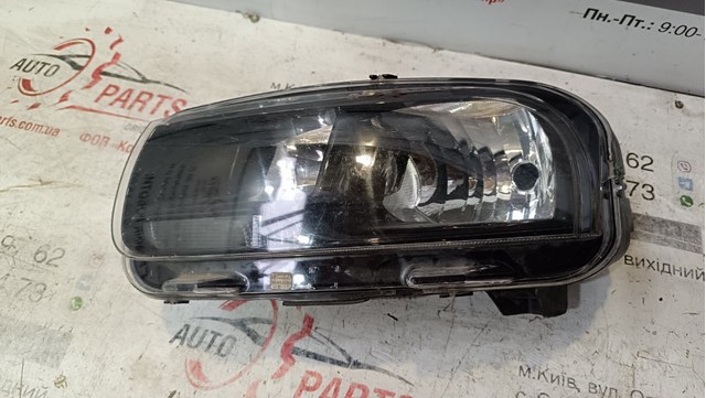 9800901380 Peugeot/Citroen Luz esquerda