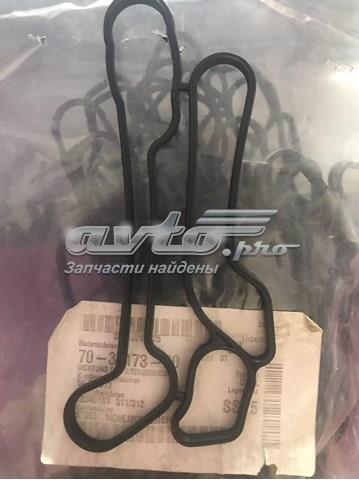 Compre 703817300 Victor Reinz Vedante do radiador de óleo