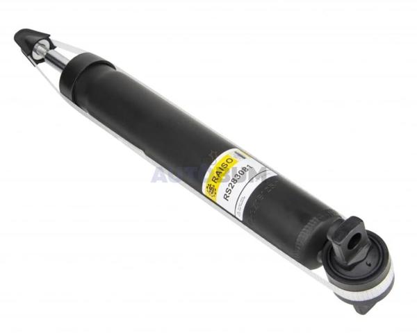 RS283081 Raiso Amortecedor traseiro