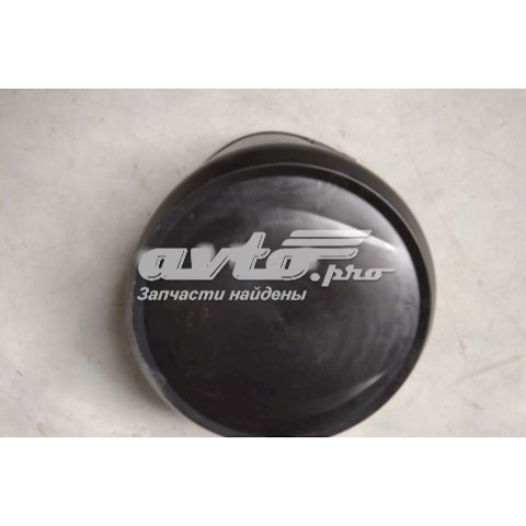 T116302530BADQ Chery Capa da roda de recambio